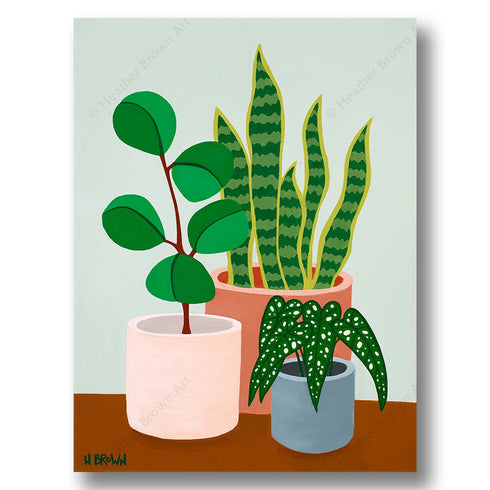 PLANT #2602